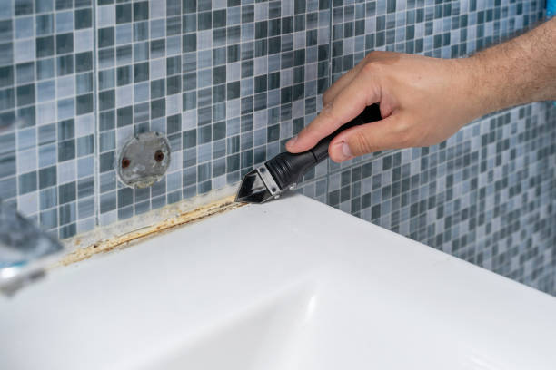 Best Residential Mold Removal  in Chesapeake, VA