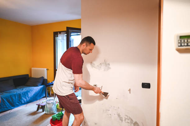 Best Mold Removal Company Near Me  in Chesapeake, VA